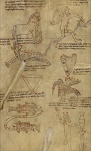 Constellation Diagrams; England; early 13th century; Pen and black, green, and red inks on parchment bound between pasteboard