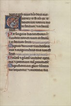 Initial E: David Praying; Bute Master, Franco-Flemish, active about 1260 - 1290, Paris, written, France; illumination