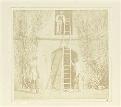 The Ladder; William Henry Fox Talbot, English, 1800 - 1877, Reading, England; April 1, 1844; Salted paper print; 16.9 × 18.1 cm