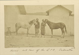 Horses and Men of the L.T.C., Dardanelles; Dr. William Robertson, Scottish, 1818 - 1882, Turkey; 1855 - 1856; Albumen silver