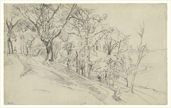 Forest in Boisrémond, recto, Cottage in a Forest, verso, Théodore Rousseau, French, 1812 - 1867, 1842; Black chalk on laid