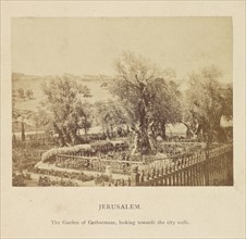 Jerusalem. The Garden of Gethsemane, Looking Towards the City Walls; Francis Bedford, English, 1815,1816 - 1894, London