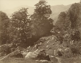 La Vallée du Lys, Coup de Vent, Aimé Civiale, Italian, 1821 - 1893, France; 1857 - 1858; Albumen silver print