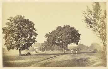 Park with a Small Pavilion and Unpaved Road, India; India; about 1863 - 1887; Albumen silver print