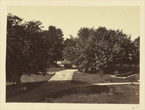 Park with Unpaved Pathways, India; India; about 1863 - 1887; Albumen silver print