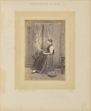 Canton d'Argovie; Adolphe Braun, French, 1812 - 1877, Dornach, Haut-Rhin, Alsace, France; about 1869; Albumen silver print