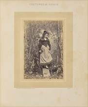 Canton de Berne, Simmenthal; Adolphe Braun, French, 1812 - 1877, Dornach, Haut-Rhin, Alsace, France, Europe; about 1869