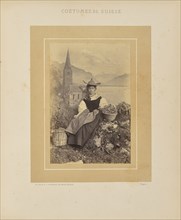 Canton de Vaud; Adolphe Braun, French, 1812 - 1877, Dornach, Haut-Rhin, Alsace, France, Europe; about 1869; Albumen silver