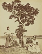 Metis; Albert Frisch, German, 1840 - 1918, Brazil; about 1867; Albumen silver print