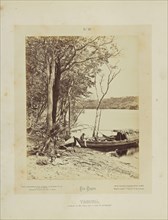 Tarumá; Albert Frisch, German, 1840 - 1918, Brazil; about 1867; Albumen silver print