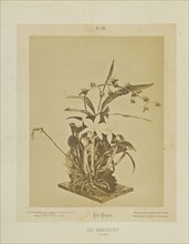 Un Bouquet; Albert Frisch, German, 1840 - 1918, Brazil; about 1867; Albumen silver print