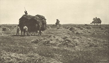 The Haysel; Peter Henry Emerson, British, born Cuba, 1856 - 1936, London, England; 1887; Photogravure; 14.1 x 25.1 cm