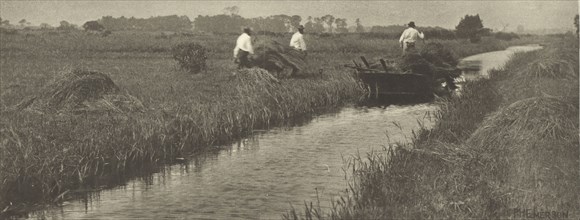 The Sedge Harvest; Peter Henry Emerson, British, born Cuba, 1856 - 1936, London, England; 1887; Photogravure; 8.7 x 23 cm