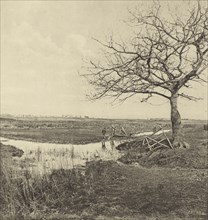 Leafless March. Suffolk; Peter Henry Emerson, British, born Cuba, 1856 - 1936, London, England; 1888; Photogravure; 24.4 x 23.5