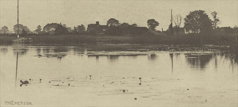 The Fringe of the Mere; Peter Henry Emerson, British, born Cuba, 1856 - 1936, London, England; 1888; Photogravure; 10.2 x 22.1