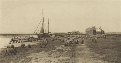 Blackshore, River Bylthe. Suffolk; Peter Henry Emerson, British, born Cuba, 1856 - 1936, London, England; 1888; Photogravure