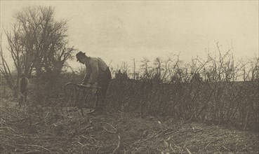 Fencing in Suffolk; Peter Henry Emerson, British, born Cuba, 1856 - 1936, London, England; 1888; Photogravure; 16 x 26.7 cm
