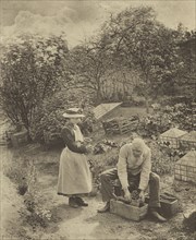 A Garden End. Suffolk; Peter Henry Emerson, British, born Cuba, 1856 - 1936, London, England; 1888; Photogravure; 28.4 x 23.5