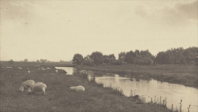 On the River Bure; Peter Henry Emerson, British, born Cuba, 1856 - 1936, London, England; 1886; Platinum print; 13.5 x 23.5 cm