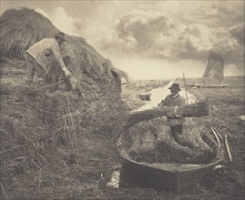 Ricking the Reed; Peter Henry Emerson, British, born Cuba, 1856 - 1936, London, England; 1886; Platinum print; 23.2 x 28.4 cm