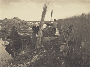 During the Reed-Harvest; Peter Henry Emerson, British, born Cuba, 1856 - 1936, London, England; 1886; Platinum print; 21.4 x 28
