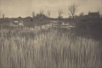 A Rushy Shore; Peter Henry Emerson, British, born Cuba, 1856 - 1936, London, England; 1886; Platinum print; 18.9 x 28.6 cm
