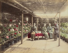 Flower Show; Kusakabe Kimbei, Japanese, 1841 - 1934, active 1880s - about 1912, Japan; 1870s - 1890s; Hand-colored Albumen