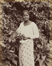 Smyhalere; Charles T. Scowen, English, 1852 - 1948, Sri Lanka; 1870s - 1890s; Albumen silver print