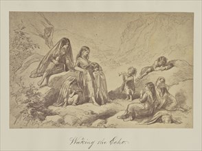 Waking the Echo; about 1865; Albumen silver print