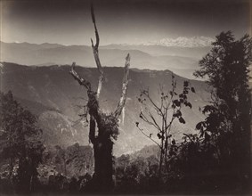 View from Senehal; Samuel Bourne, English, 1834 - 1912, India; about 1867; Albumen silver print