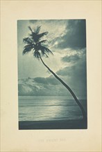 The Orient Sea; Henry W. Cave, English, 1854 - 1913, Sri Lanka; about 1890; Photogravure; 9 × 5.7 cm, 3 9,16 × 2 1,4 in