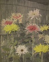 Tsuzure-no-Nishiki; Kazumasa Ogawa, Japanese, 1860 - 1929, Yokohama, Japan; 1896; Hand-colored collotype; 28 x 22.4 cm