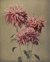 Asa-dsuma-bune; Kazumasa Ogawa, Japanese, 1860 - 1929, Yokohama, Japan; 1896; Hand-colored collotype; 27.6 x 22.7 cm