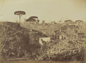 Vineyards on the Posilippo Road; Mrs. Jane St. John, British, 1803 - 1882, Naples, Italy; 1856 - 1859; Albumen silver print