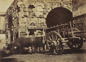 Buffalo Cart, Rome; Mrs. Jane St. John, British, 1803 - 1882, Rome, Italy; 1856 - 1859; Albumen silver print from a paper
