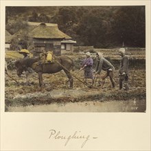 Ploughing; Shinichi Suzuki, Japanese, 1835 - 1919, Japan; about 1873 - 1883; Hand-colored Albumen silver print