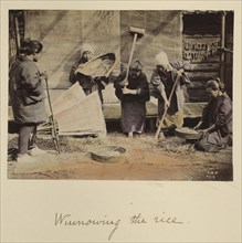 Winnowing the rice; Shinichi Suzuki, Japanese, 1835 - 1919, Japan; about 1873 - 1883; Hand-colored Albumen silver print