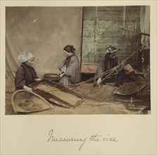 Measuring the Rice; Shinichi Suzuki, Japanese, 1835 - 1919, Japan; about 1873 - 1883; Hand-colored Albumen silver print