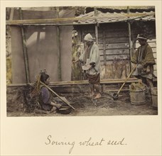Sowing Wheat Seed; Shinichi Suzuki, Japanese, 1835 - 1919, Japan; about 1873 - 1883; Hand-colored Albumen silver print