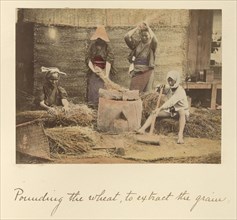 Pounding the Wheat to Extract the Grain; Shinichi Suzuki, Japanese, 1835 - 1919, Japan; about 1873 - 1883; Hand-colored Albumen