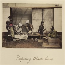 Preparing Tobacco Leaves; Shinichi Suzuki, Japanese, 1835 - 1919, Japan; about 1873 - 1883; Hand-colored Albumen silver print