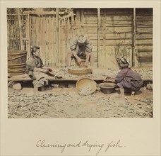 Cleaning and Drying Fish; Shinichi Suzuki, Japanese, 1835 - 1919, Japan; about 1873 - 1883; Hand-colored Albumen silver print
