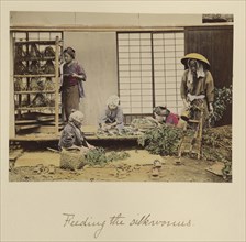 Feeding the silkworms; Shinichi Suzuki, Japanese, 1835 - 1919, Japan; about 1873 - 1883; Hand-colored Albumen silver print