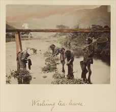 Washing Tea Leaves; Shinichi Suzuki, Japanese, 1835 - 1919, Japan; about 1873 - 1883; Hand-colored Albumen silver print