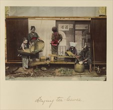 Drying Tea Leaves; Shinichi Suzuki, Japanese, 1835 - 1919, Japan; about 1873 - 1883; Hand-colored Albumen silver print