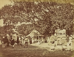 Hunting Camp; Colonel William Willoughby Hooper, British, 1837 - 1912, India; about 1870; Albumen silver print