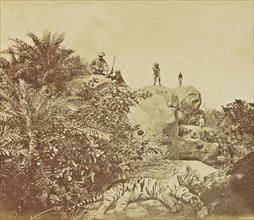 Untitled; Willoughby Wallace Hooper, English, 1837 - 1912, India; about 1870; Albumen silver print