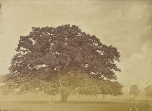 print; Colonel William Willoughby Hooper, British, 1837 - 1912, India; about 1870; Albumen silver print