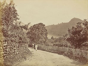 print; Colonel William Willoughby Hooper, British, 1837 - 1912, India; about 1870; Albumen silver print