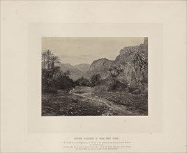 Rephidim, Wilderness of Paran, Wady Feiran, Francis Frith, English, 1822 - 1898, Sinai Peninsula, Egypt; about 1865; Albumen